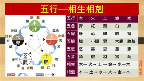 五行生剋制化|五行制化